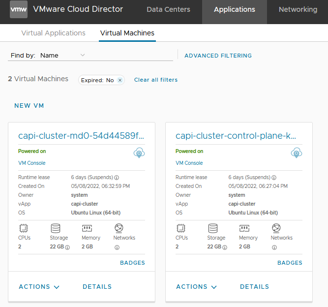 capvcd nodes in cloud director VAPP